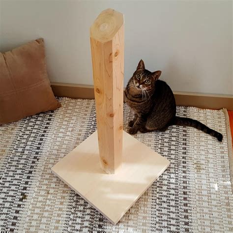 Norma Sullivan Buzz How To Make Your Own Cat Scratch Post