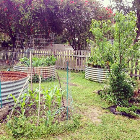How to prune basil for big, bushy basil plants (with photos). How to Become Self-Sufficient (or as Close as Possible ...