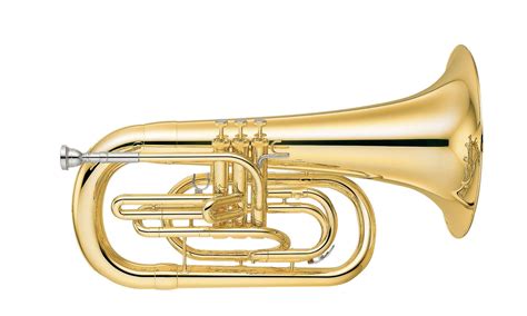 Yep 202m Overview Marching Brass Brass And Woodwinds Musical