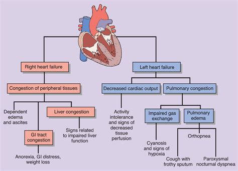 What is the difference between LT and RST?