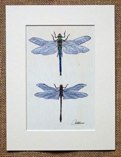 Dragonfly Print Dragonfly Picture Dragonfly Artwork Dragonfly Etsy Uk