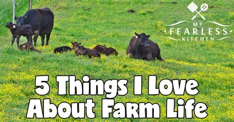 5 things i love about farm life my fearless kitchen