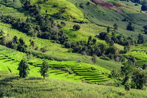7 Area Terasering Paling Indah di Dunia, Ada yang di Indonesia Loh!