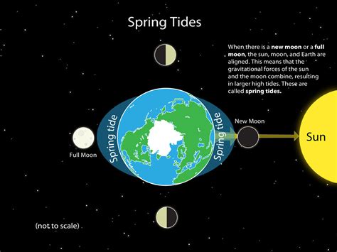 Ocean Tides Diagram