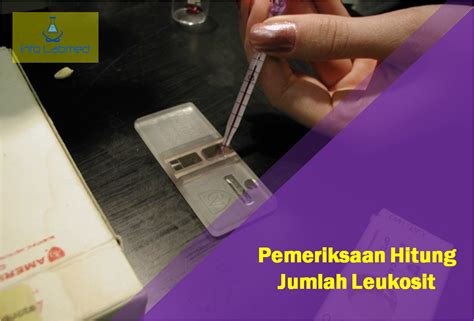 Pemeriksaan Hitung Jumlah Leukosit Info Laboratorium Medik