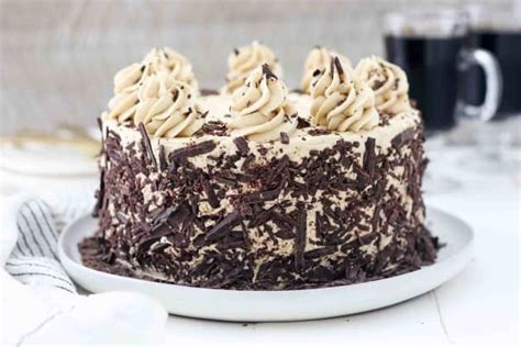 Chocolate Mocha Cake Recipe Food Fanatic