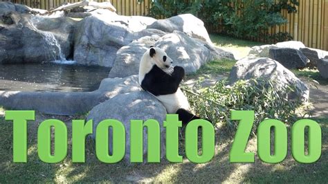 Canada 58 Toronto Zoo Zoological Park Animal Park