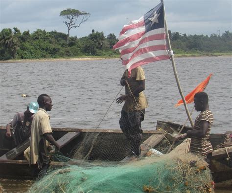 World Bank Approves Us40m For Liberia Fisheries Sector Liberia