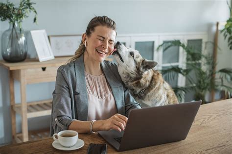 32 Jobs For Working With Animals