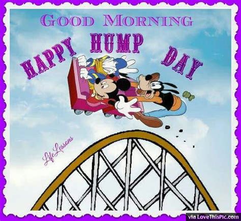 Good Morning Happy Hump Day Disney Quote Pictures Photos And Images