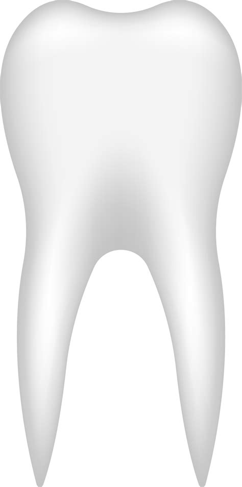 Tooth Clip Art Free