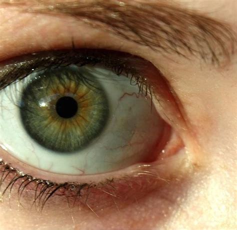 Что Означает Глаза Карие Зеленые Фото Картинки фотографии