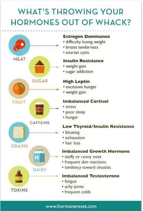 The Hormone Type 3 Diet Plan By Dr Jade A Complete Guide For A Healthy Lifestyle Martlabpro