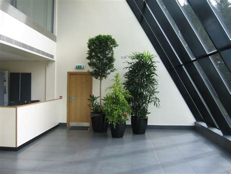 How Can We Improve Our Office Atrium Office Landscapes