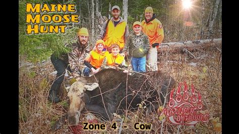 Maine Moose Hunt Zone 4 Youth Hunters First Moose Youtube