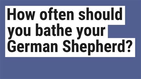 What to do before getting balayage? How often should you bathe your German Shepherd? - YouTube