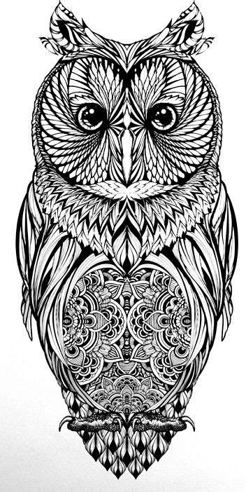 Owls have a predominantly nocturnal habit and are predators of invertebrates and vertebrates. 33 best Owl Tattoo Coloring Sheets images on Pinterest ...