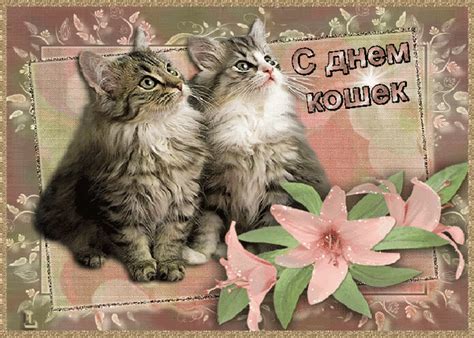 Анимированная открытка С днём кошек