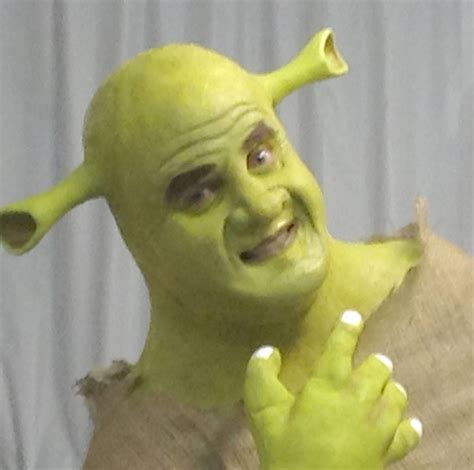 Aeo Ogre Prosthetics For Shrek Bald Actors Halloween Around The World
