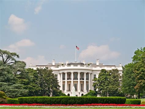 The White House Stock Image Image Of Lawn States Blossoms 13650075