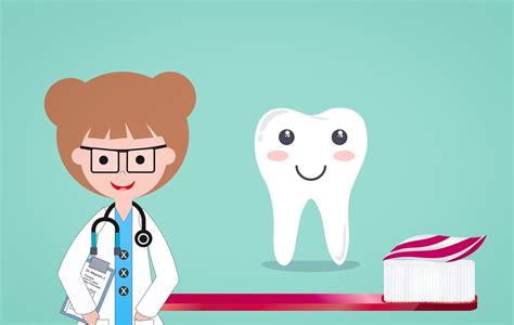 Fun Facts About Your Teeth Your Dental Health Resource