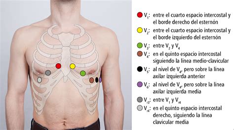 Electrocardiograma estándar Electrocardiografía Pruebas funcionales Pruebas Medicina