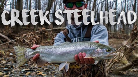 Fishing Tiny Creeks For Ohio Steelhead Youtube