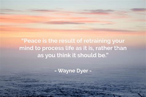 111 searching for peace quotes. 25 quotes that bring you inner peace to cope with tough times