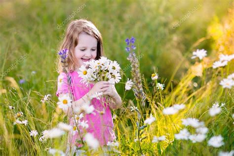 Kleines Mädchen im Gänseblümchen Blumenfeld Stockfotografie