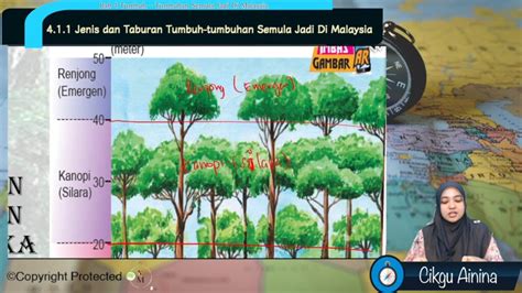 Topik 04 Tumbuh Tumbuhan Semula Jadi Di Malaysia Jom Tuisyen