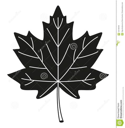 Black And White Maple Leaf Silhouette Stock Vector Illustration Of