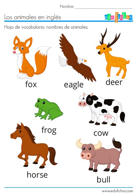 Animales En InglÉs Vocabulario Ejercicios Flashcards Mex Alex