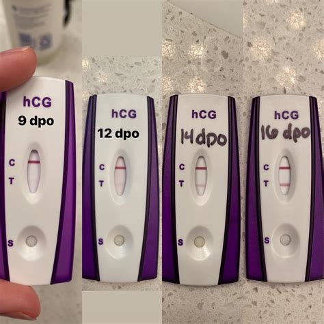 Cd 31 • 9 16 Dpo • Pregnancy Test First Signal Tfablineporn