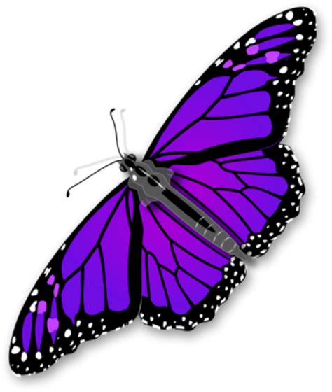 Purple Butterfly Clipart Clipart Best