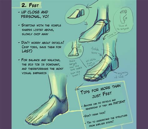Simple Foot Drawing Reference 236x333 Drawing Art Feet Human Anatomy