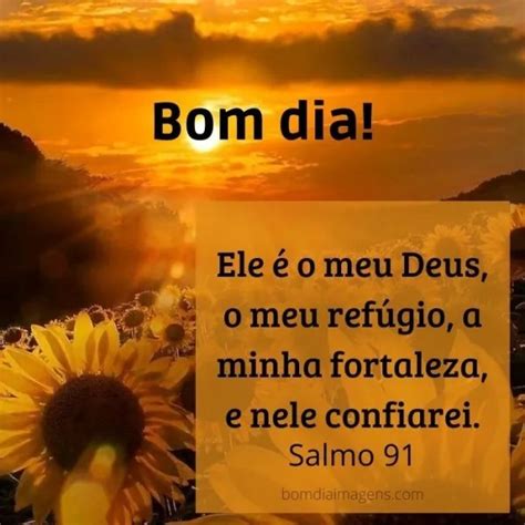 Bom Dia😄 Boa Tarde 😎 Boa Noite🌛