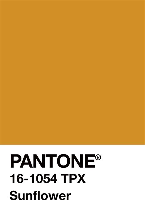 H N N H 🦠 On Twitter Pantone Colour Palettes Pantone Yellow Pantone