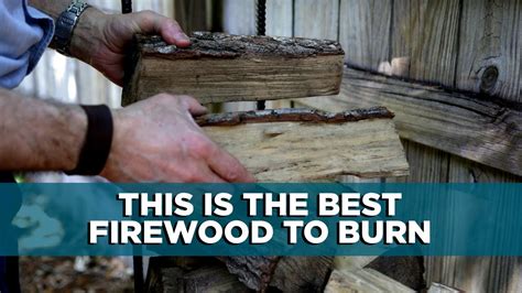 How To Choose The Best Firewood To Burn Youtube