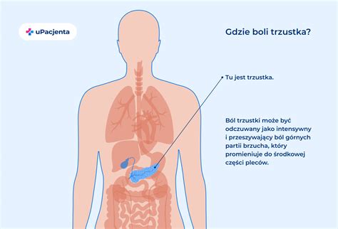 Rak Trzustki Przyczyny Objawy Rokowania Diagnostyka I Leczenie My Xxx