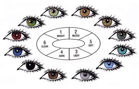 Human Eye Color Chart Quad Cities Daily