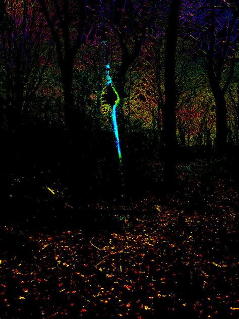 Psychedelic Night Forest Trees In Highgate Woods 602 Photograph By