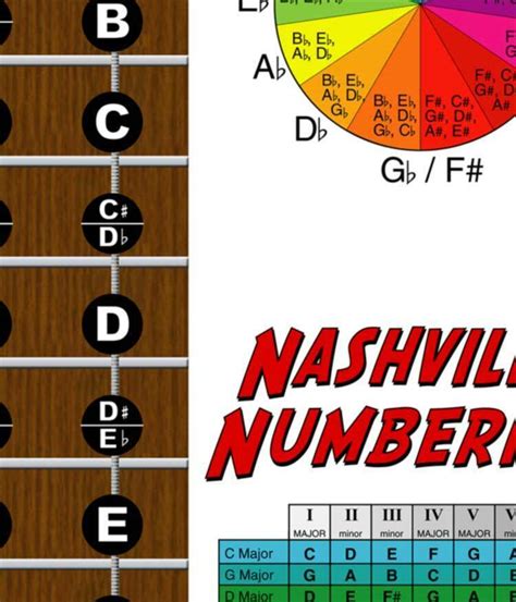 Laminated 4 String Bass Fretboard Chart Poster Nashville Numbering