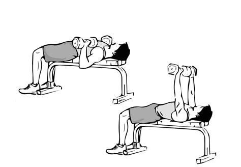 Workout Drawing At Getdrawings Free Download