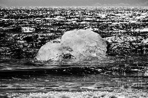 Iceberg Washing Up On Black Sand Beach At Jokulsarlon Iceland