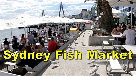 Sydney Fish Market Sydney Australia Youtube