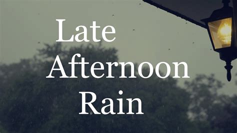 Late Afternoon Rain 1 Hour Of Rain Sounds Youtube