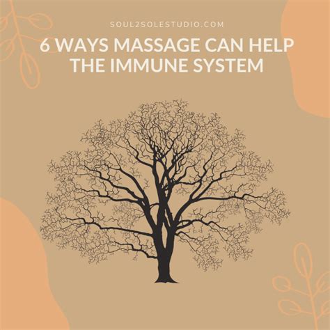 Six Ways Massage Impacts The Immune System Soul 2 Sole Thai Massage