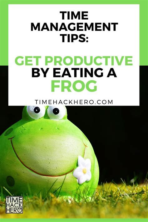 I didn't feel like it broke any ground that hadn't already been covered in other books i've read on the subject. Eat That Frog! Book Review | Time Hack Hero in 2020 | Time ...