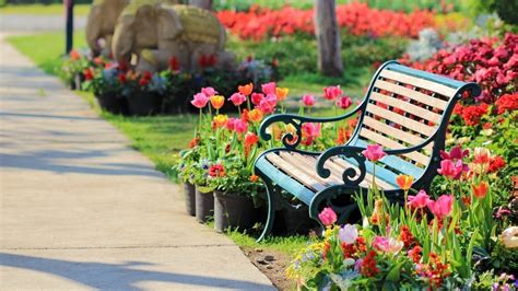 Garden Chair Wallpapers Wallpaper Cave