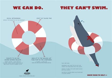 Stop Shark Finning Campaign — Em Cheng S Illustration Artofit